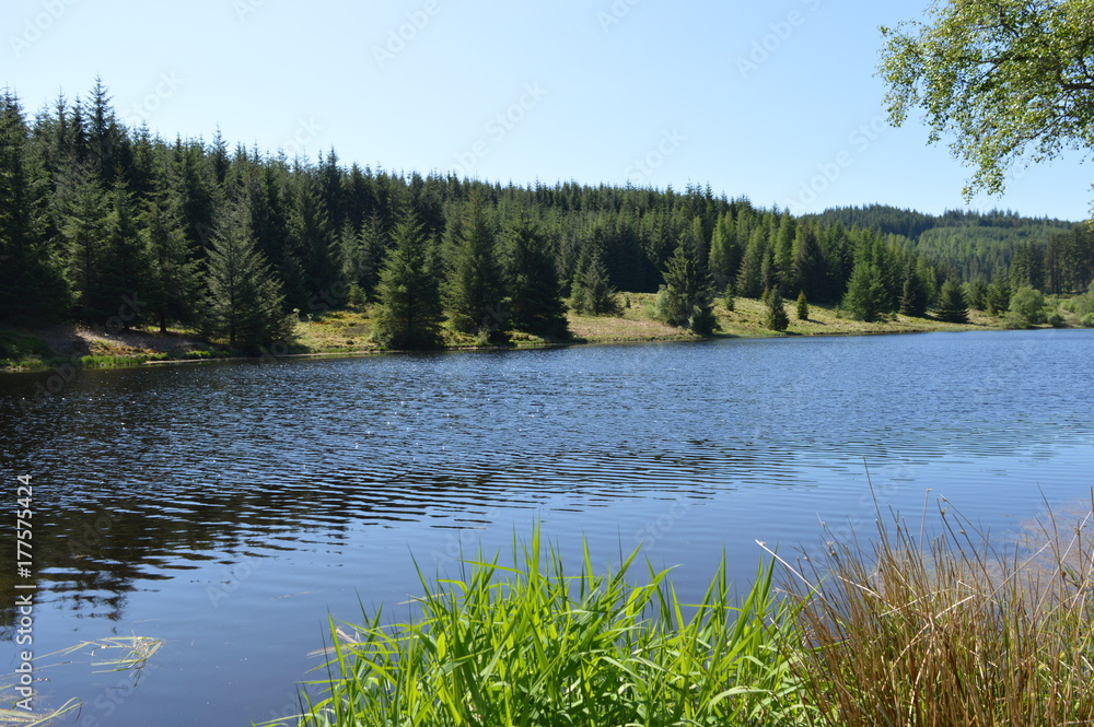 Fototapeta premium Loch