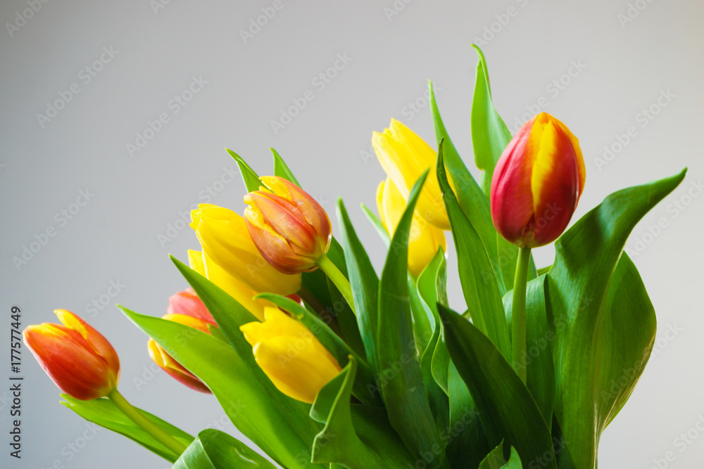 Obraz premium Yellow and orange bouquet of tulips on grey background