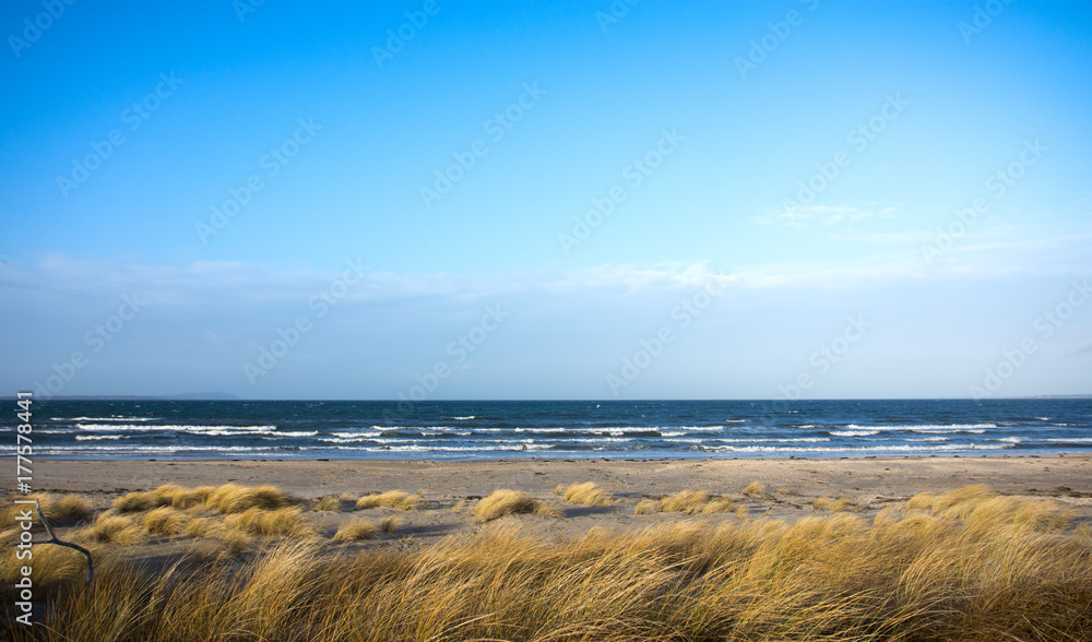 Horizon Horizon