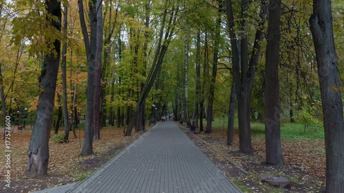 Road in the city park in autumn