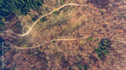 Top view of a road through forest.
