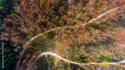 Top view of a road through forest.