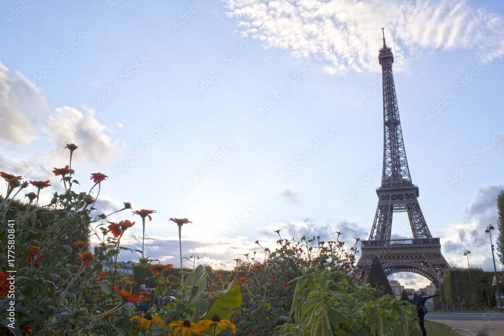 Eiffel tower between colored flowers in Paris, France
