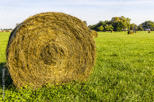 Late Summer hay bales in a green pasture and field II