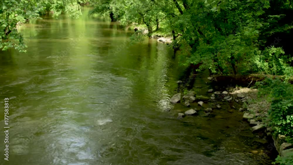 Water canal with canopy of trees overhead
