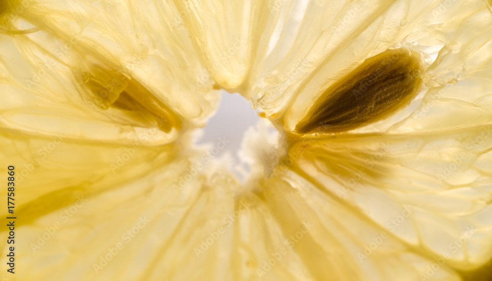 Seed inside lemon slice. Macro.