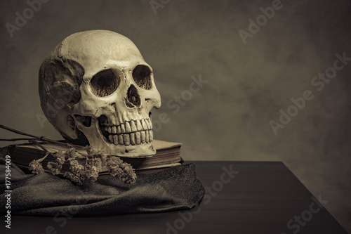 skull on the table , still life