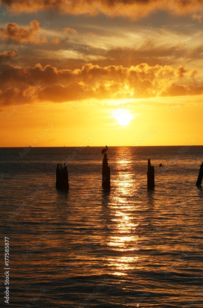 Golden Sunset with birds resting on old dock posts