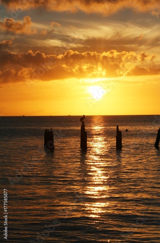 Golden Sunset with birds resting on old dock posts