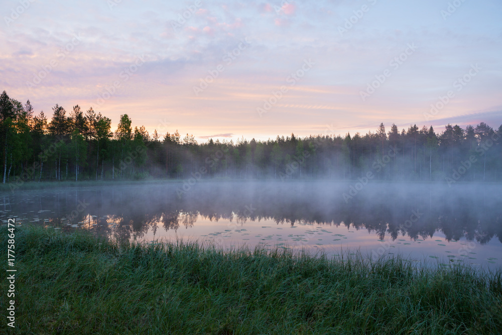 Foggy morning at forest pond landscape Finland Foggy morning at forest pond landscape Finland