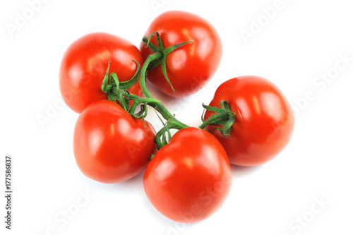 tomato isolated on white background © nd700
