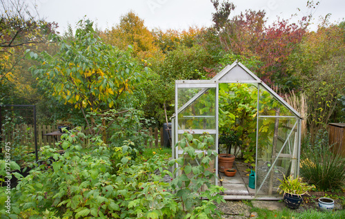 Greenhouse in autumn