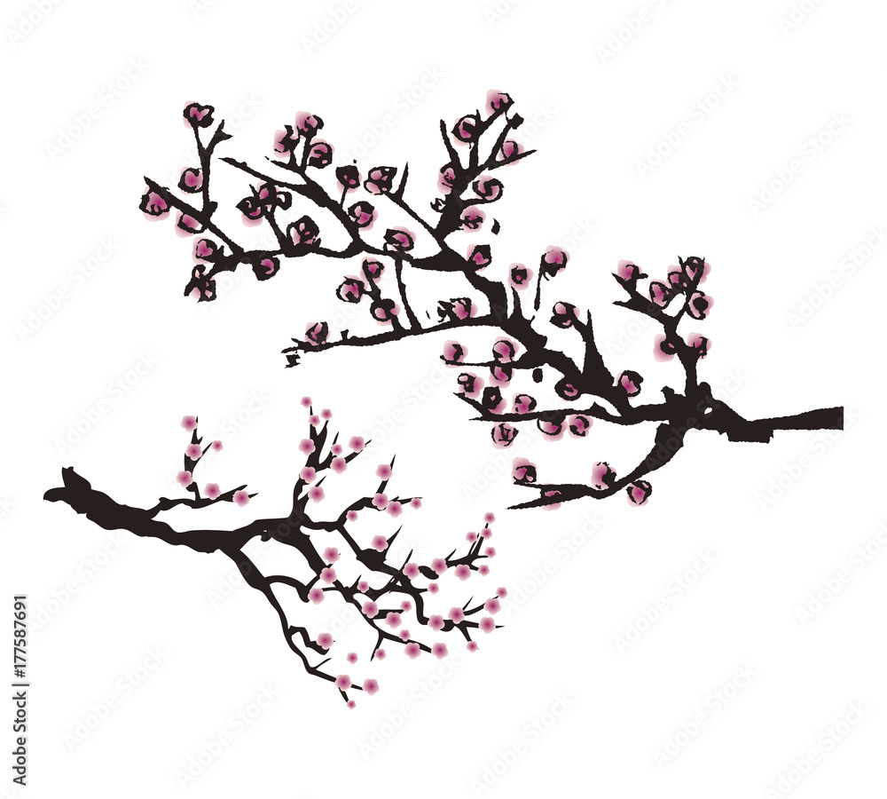水墨画 梅の花 ベクター イラスト Stock Vector Adobe Stock 水墨画 梅の花 ベクター イラスト Stock Vector Adobe Stock