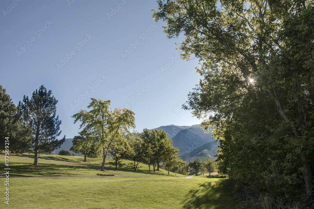 path into the utah wasatch mountain range during summer path into the utah wasatch mountain range during summer