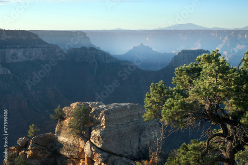 Cape Royal at dawn, North Rim Grand Canyon National Park Arizona, US