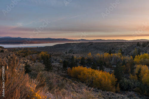 Sunrise over fall colors in Lee Vining Canyon and Mono Lake in California. Pine trees and aspen are coming to light as the sun rises in the East.