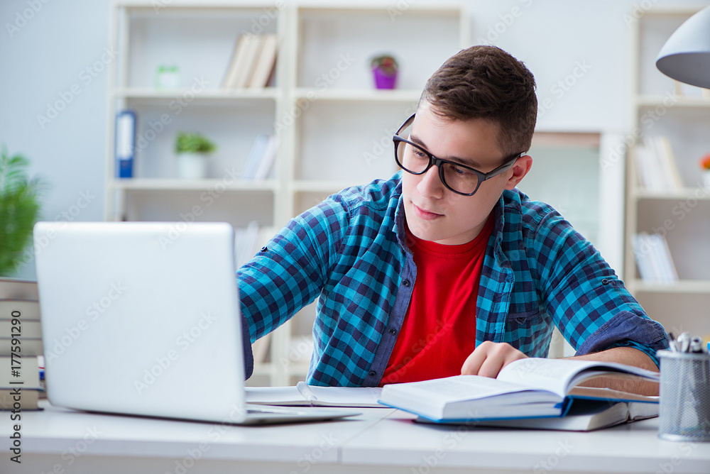 Young teenager preparing for exams studying at a desk indoors Young teenager preparing for exams studying at a desk indoors