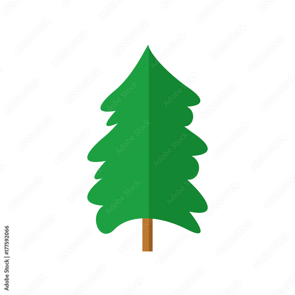 Simple Round Spruce Christmas Tree Simple Round Spruce Christmas Tree