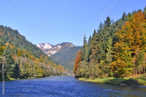 Fototapeta Naklejka Na Ścianę i Meble -   View of the Dunajec river and Pieniny mountains in autumn