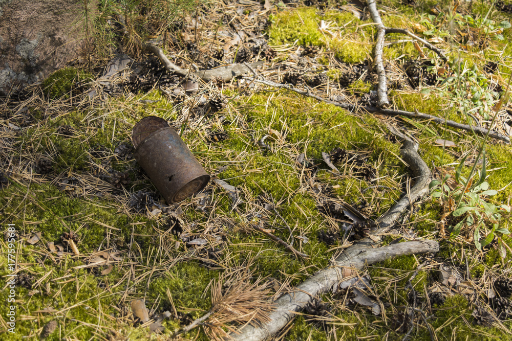 Canned stewed meat. The rusty can in the forest. Canned stewed meat. The rusty can in the forest.