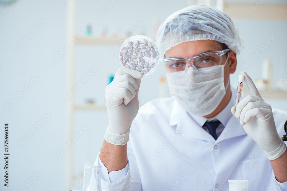 Chemist mixing perfumes in the lab Chemist mixing perfumes in the lab