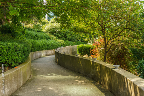 Concrete walk path in the green city park background.