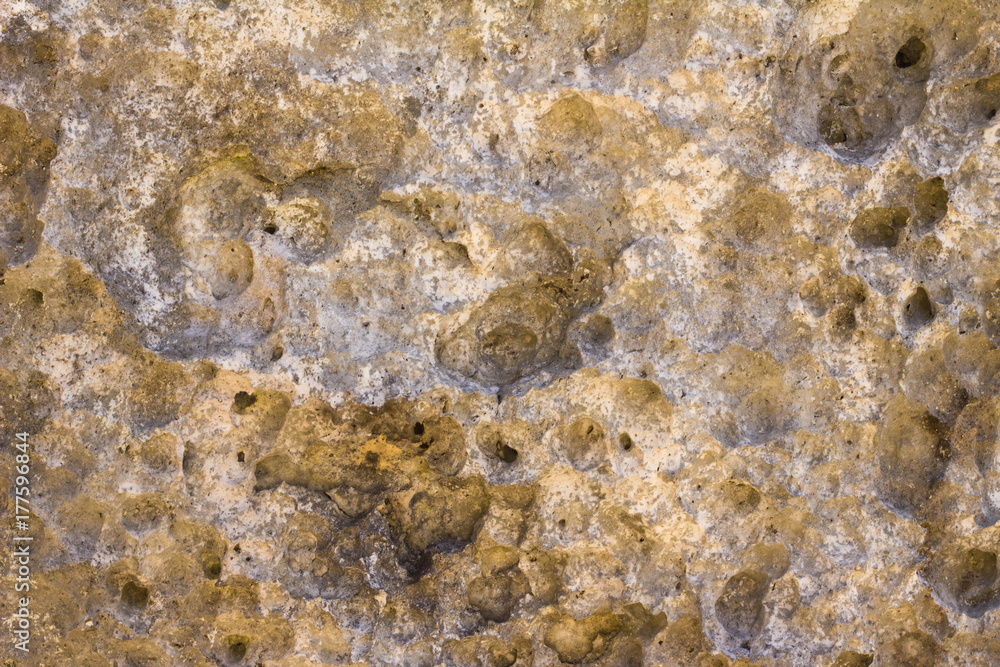 Textured stone wall / Rough stone texture in tropical beach for background 