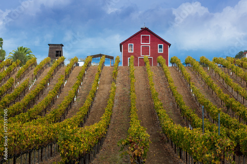 Red Farmhouse on top of a Hill in Healdsburg, California. photo