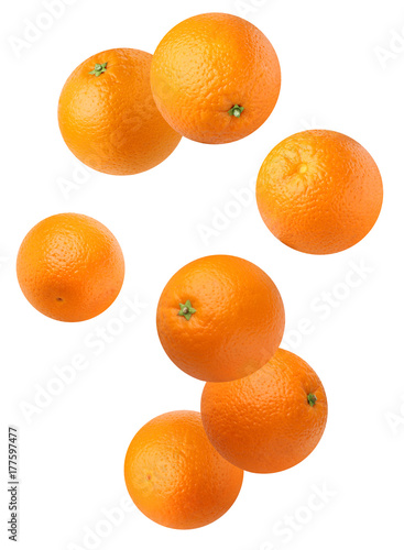 Flying oranges isolated on white background.