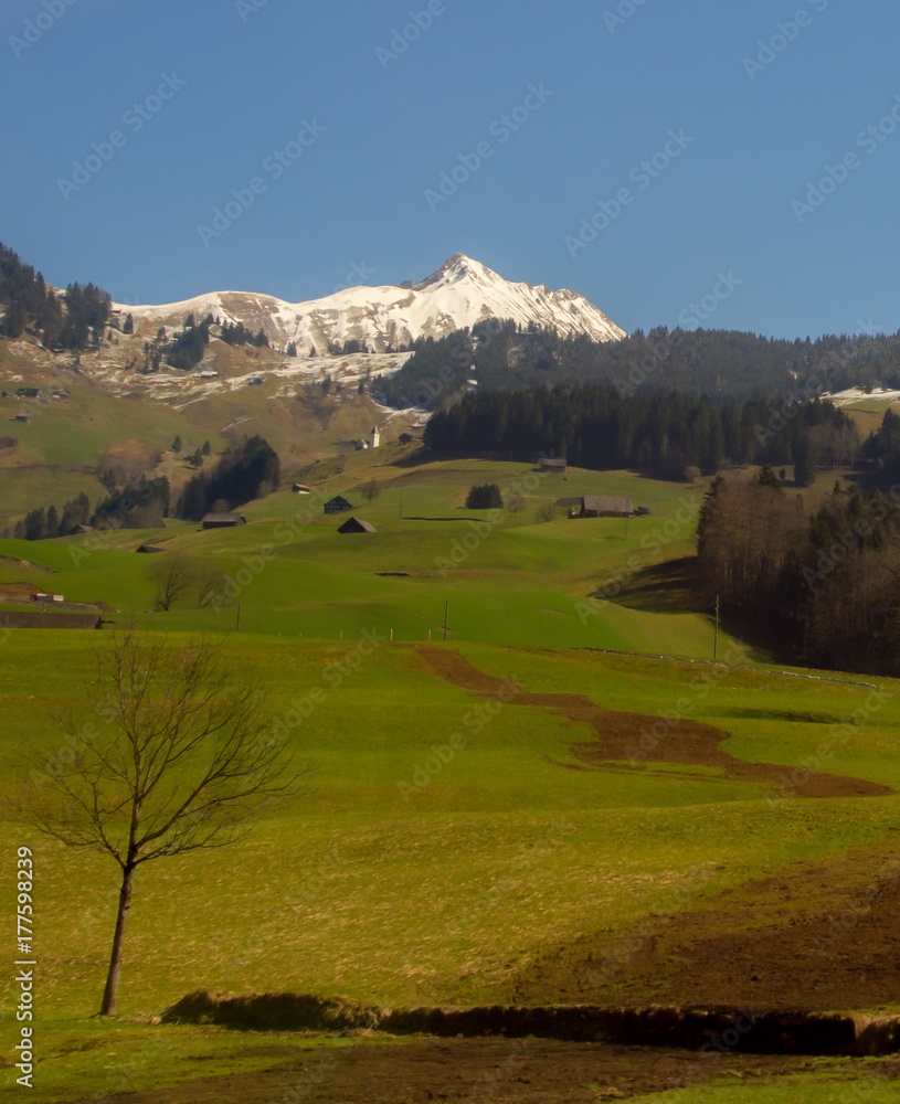 Swiss Countryside path