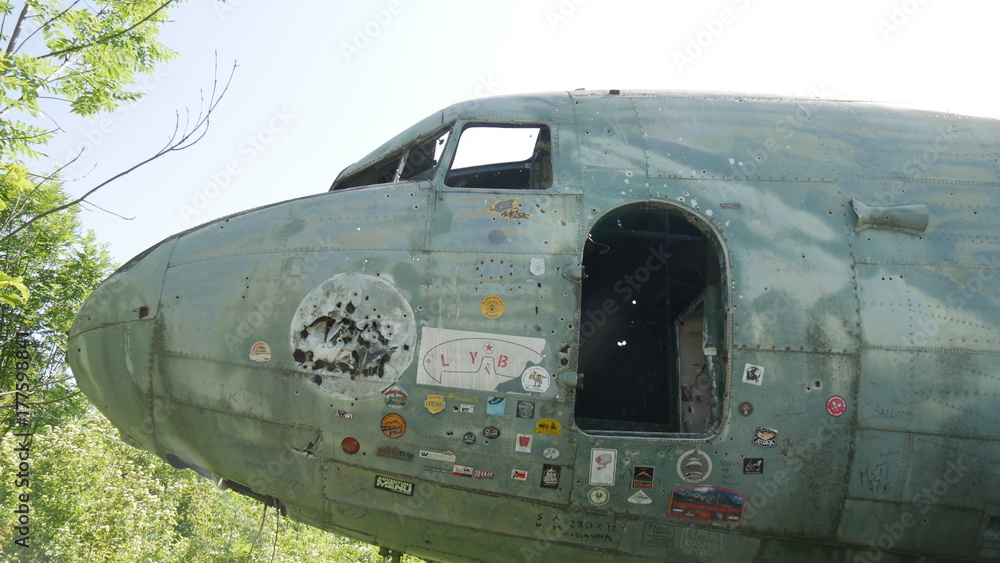 Obraz premium Relitto di aeroplano nella foresta