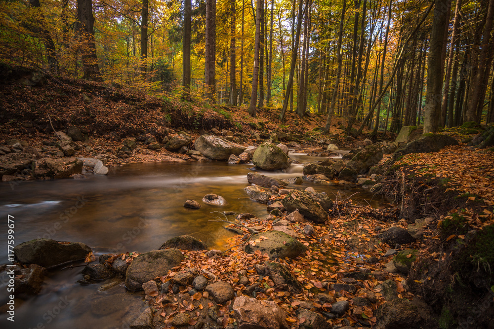 Mountain stream with waterfall in an autumn forest Mountain stream with waterfall in an autumn forest