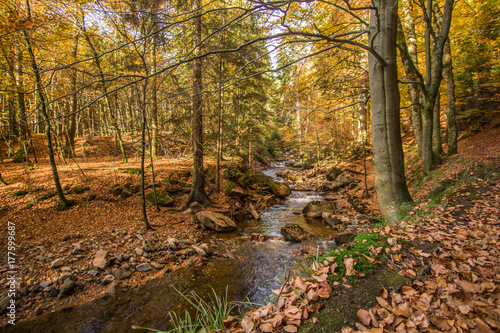 Mountain stream with waterfall in an autumn forest