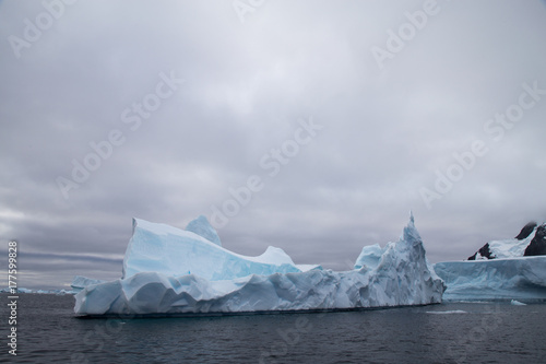 Iceberg, Antarctica © robert