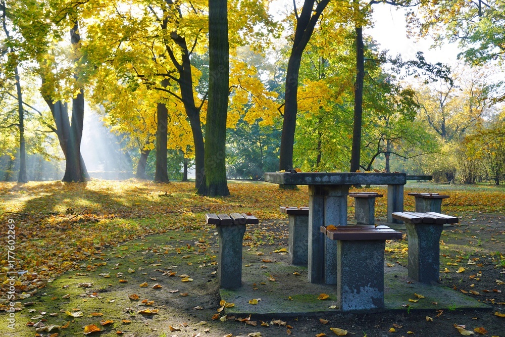 table to play chess in autumn park - golden autumn table to play chess in autumn park - golden autumn