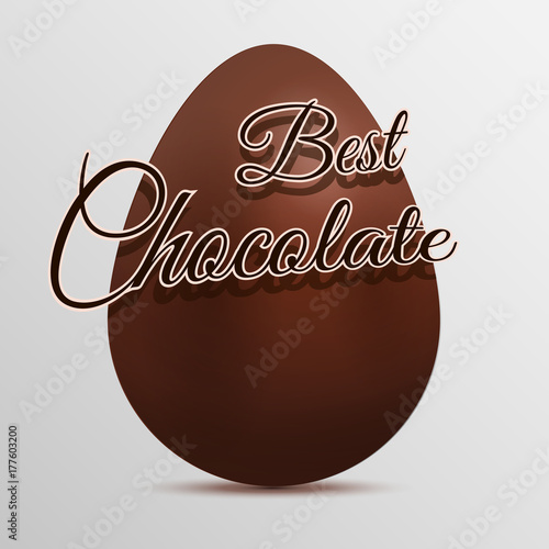 Vector illustration egg of chocolate vector eps 10