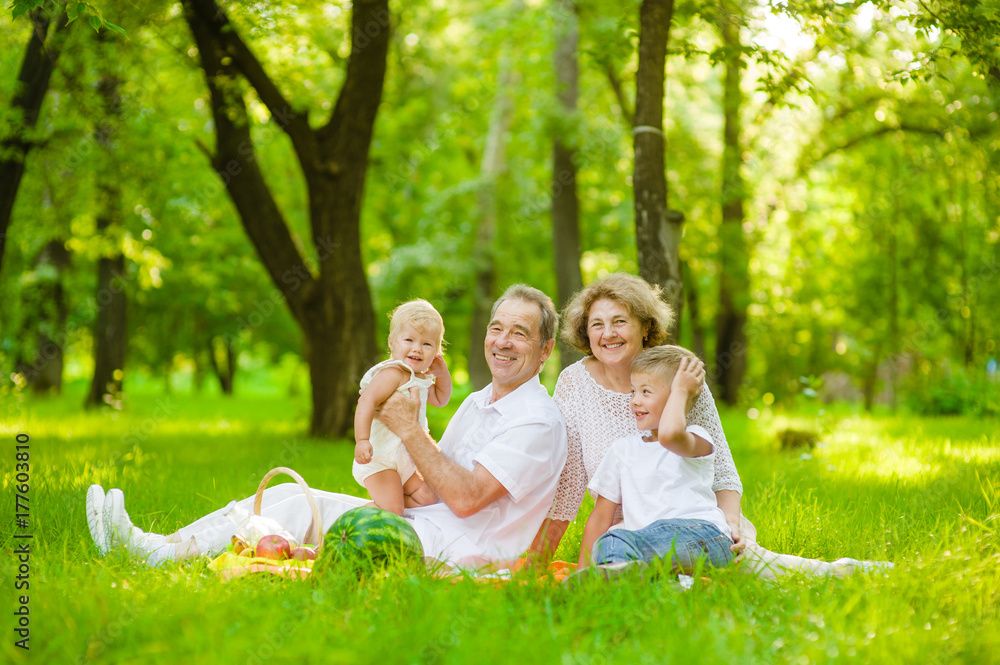 Fototapeta premium Happy family picnic. Grandparents having a picnic in nature with grandchildren