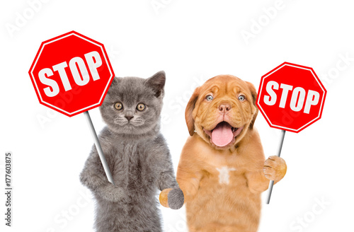 Foto Cat and dog with the stop signs. Isolated on white background