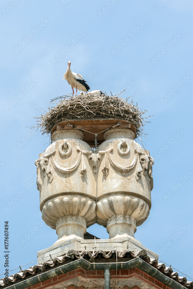 Obraz premium Storks nest in Racconigi Castle.