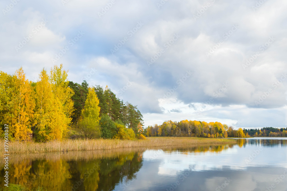 Autumn Golden Landscape of the idyllic reflection of clouds in calm water. The wildlife of Northern Europe in autumn.