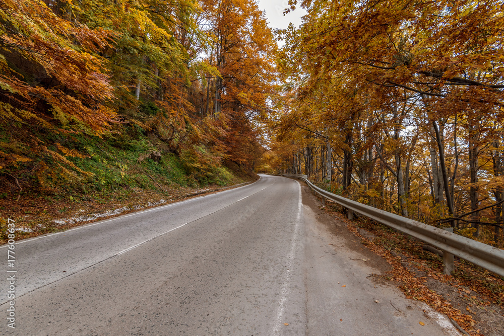 Fototapeta premium autumn road.
