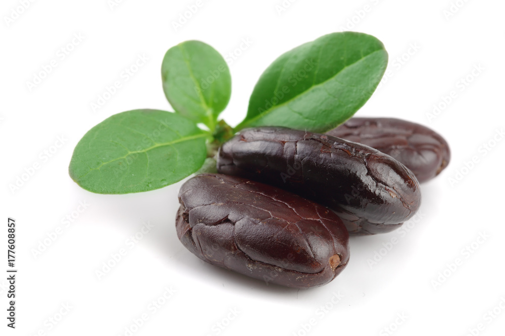 cocoa bean with leaf isolated on white background macro cocoa bean with leaf isolated on white background macro