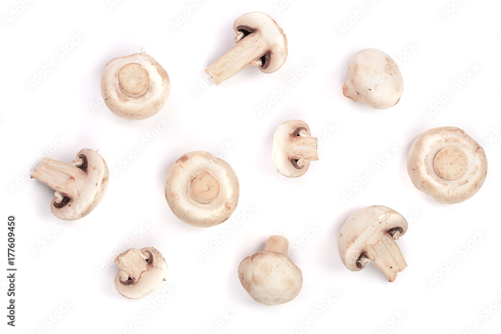 mushrooms isolated on white background. top view mushrooms isolated on white background. top view