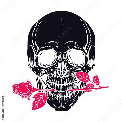 human skull with a rose