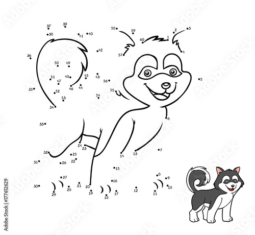 Numbers game, Dog breeds: Husky