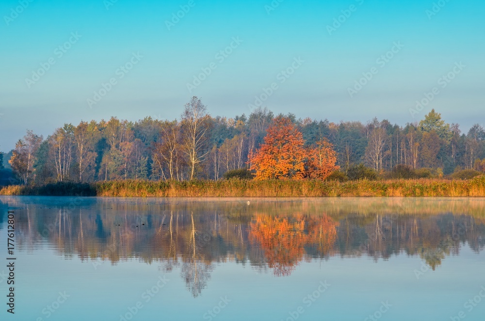 Beautiful autumn landscape. Colorful trees by the lake. Beautiful autumn landscape. Colorful trees by the lake.