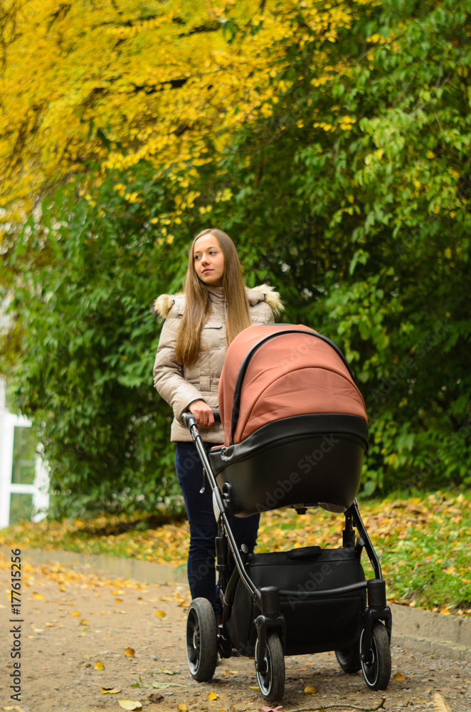 Family, child and motherhood concept - happy mother walking with baby stroller in park