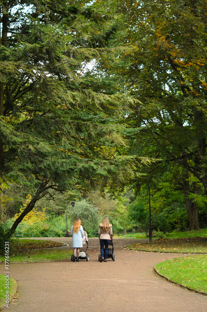 Two happy mothers with their baby strollers walking together in park. Motherhood