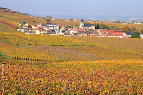 Champagne, village de Oger en automne photo