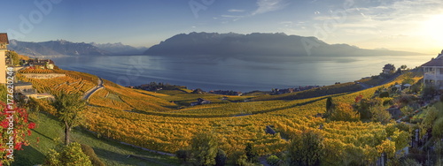Panorama on Lavaux region, Vaud, Switzerland